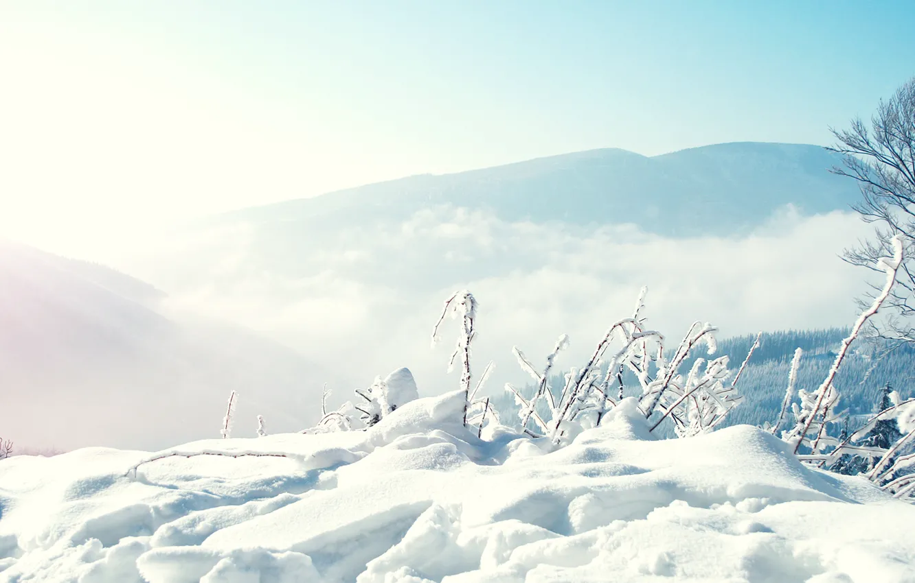 Photo wallpaper snow, trees, mountains, fog, Nature, Winter, the snow, weather