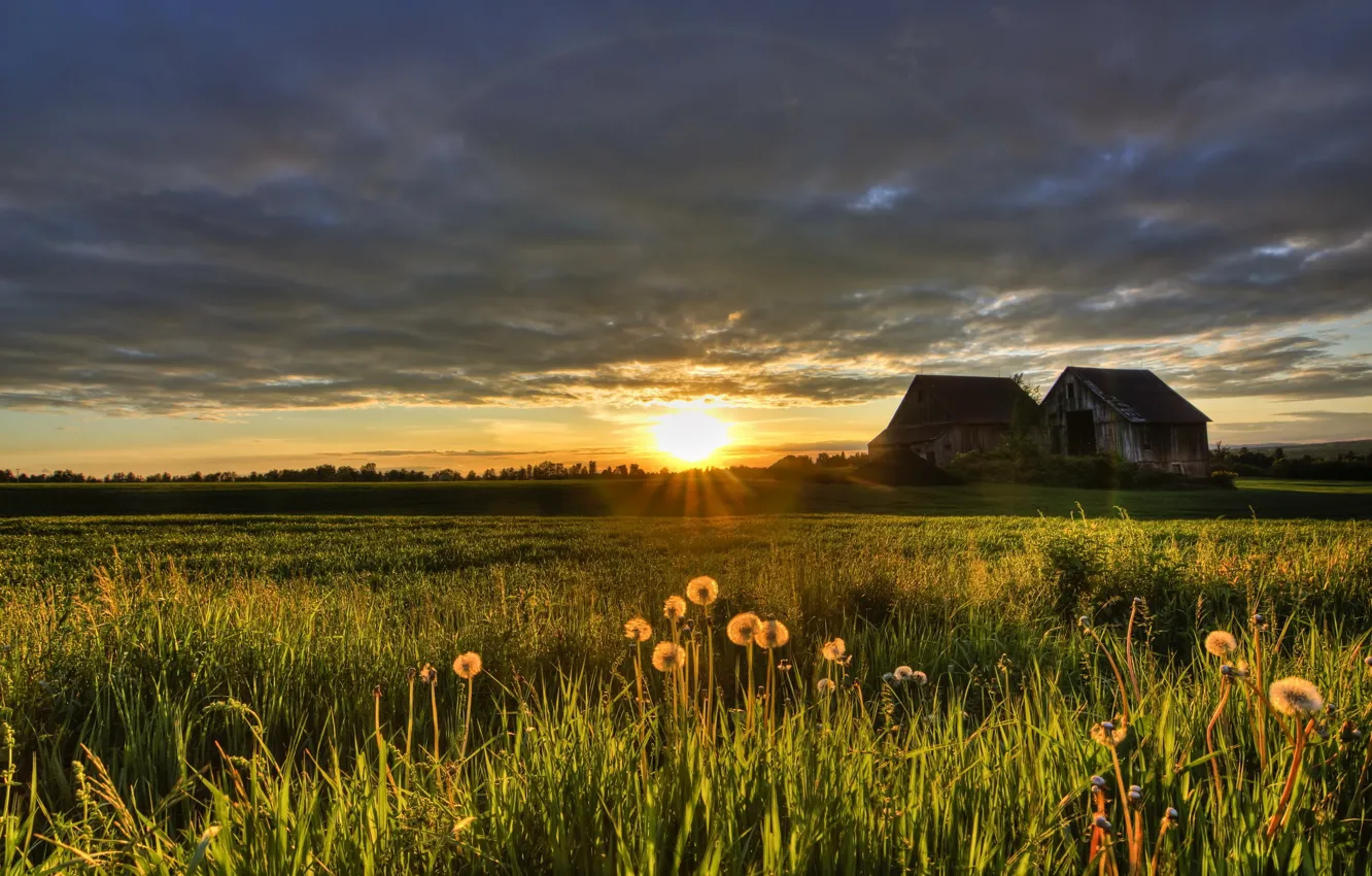 Photo wallpaper field, summer, sunset, house