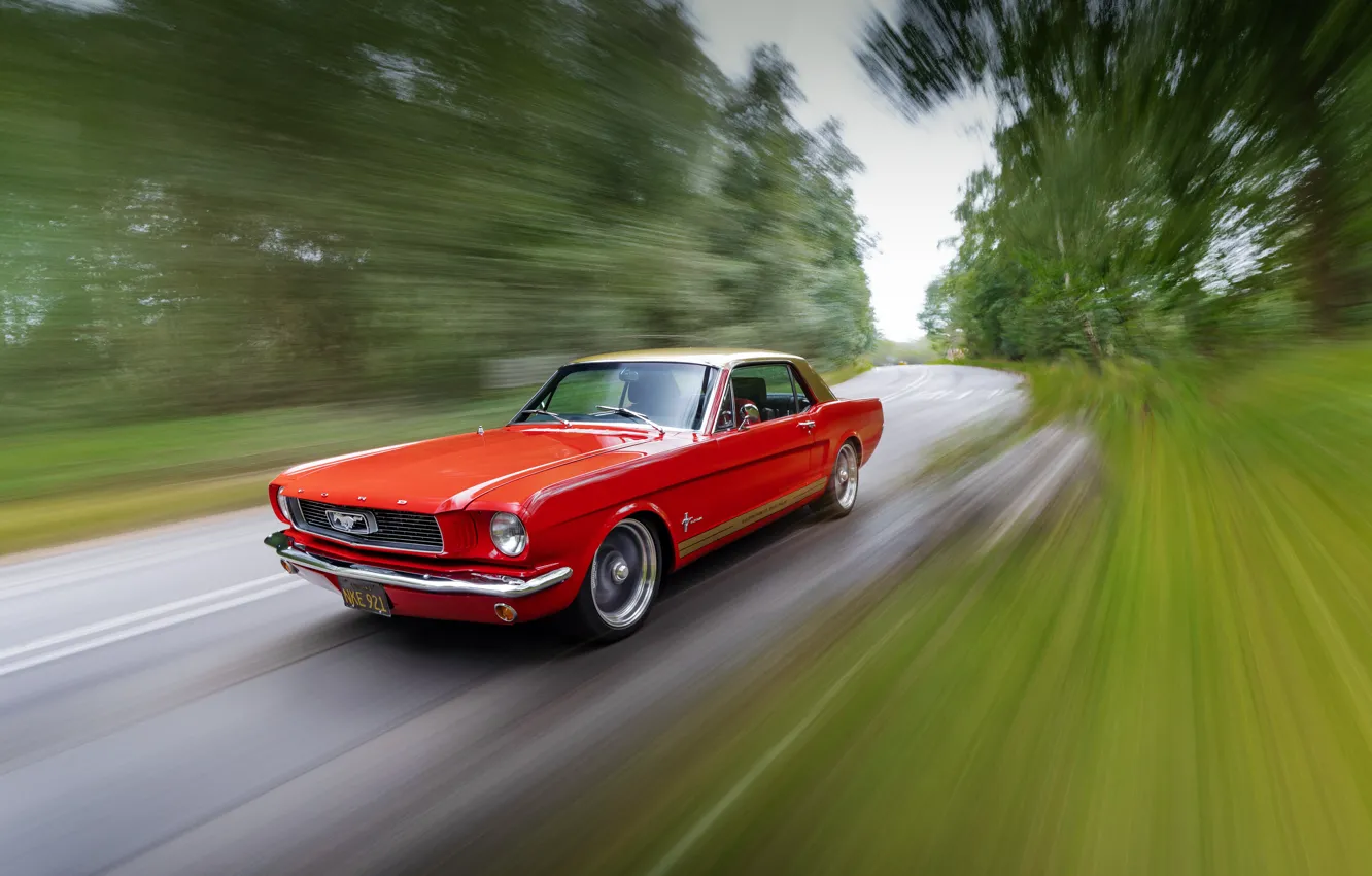 Photo wallpaper Mustang, Ford, drive, 1965 Ford Mustang Coupe, Alan Mann Racing