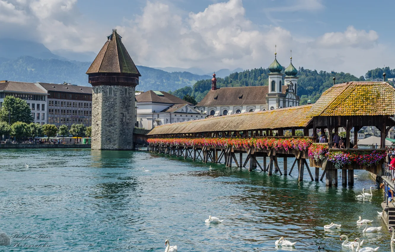 Photo wallpaper the sky, flowers, home, Switzerland, swans, promenade, Lucerne, the the Chapel bridge