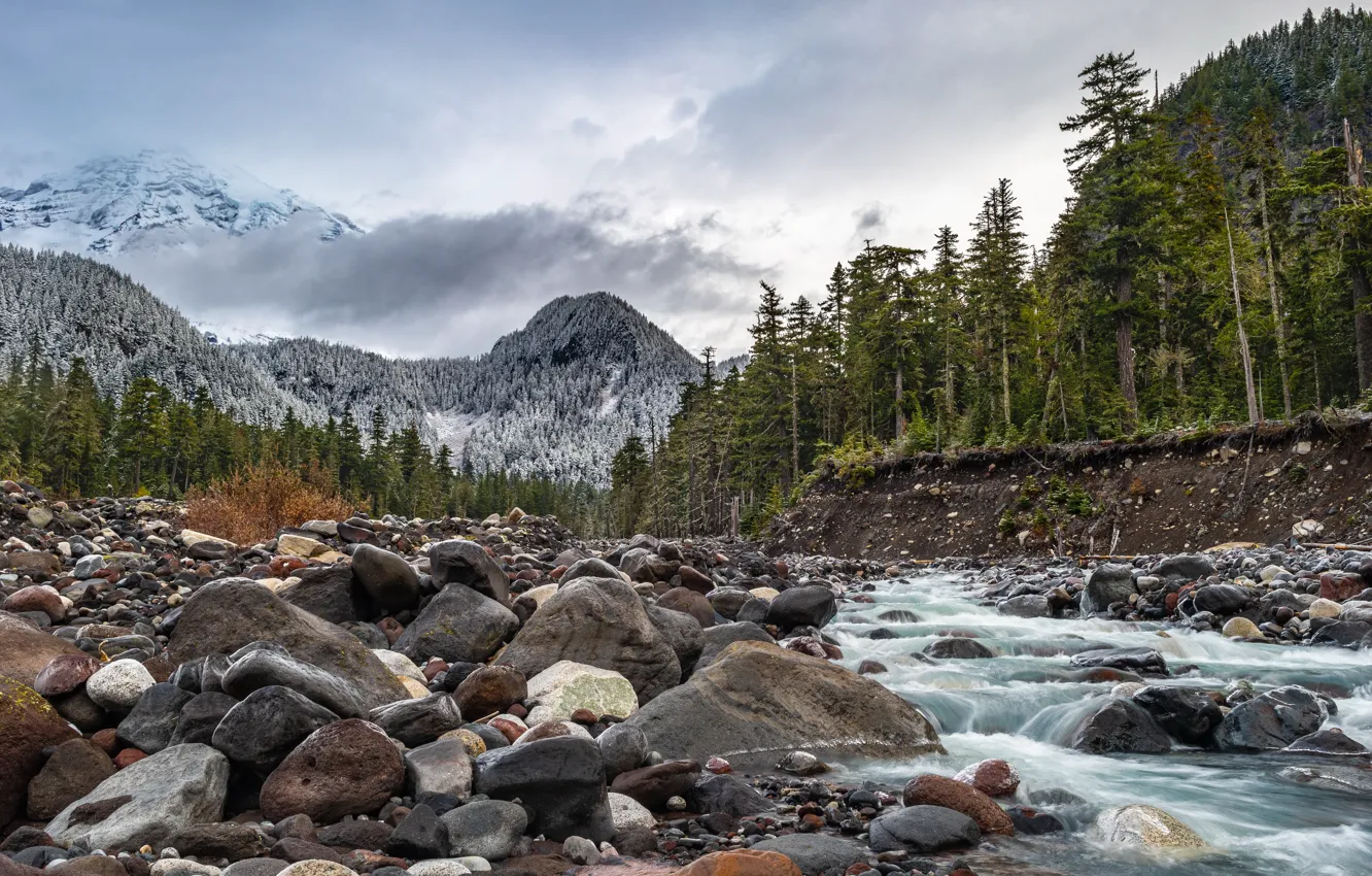 Photo wallpaper Washington, Longmire, Mount Ranier
