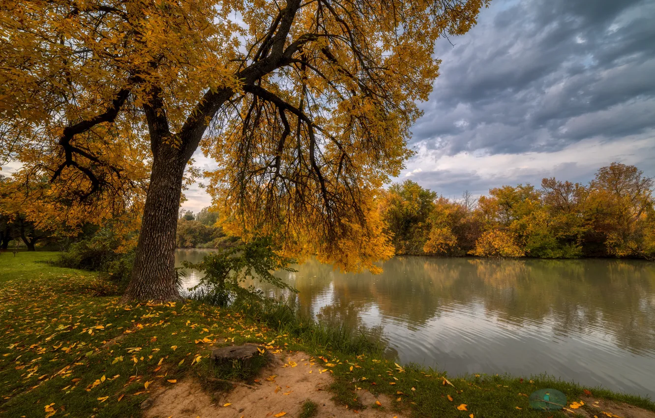 Photo wallpaper autumn, forest, landscape, clouds, nature, shore, pond, Alexander Plekhanov