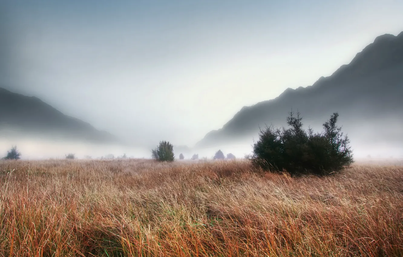 Photo wallpaper field, grass, landscape, fog