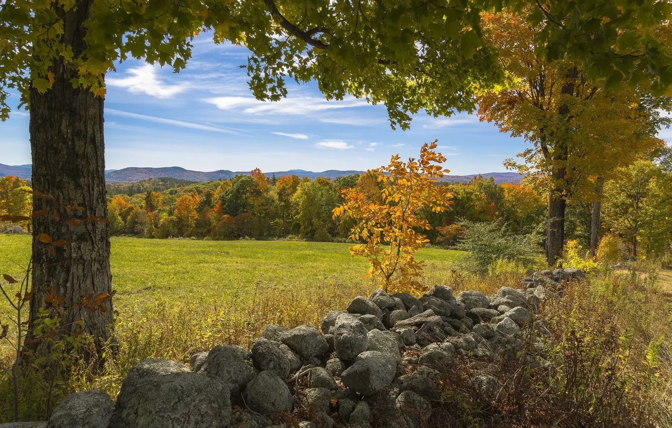 Photo wallpaper the sky, landscape, nature