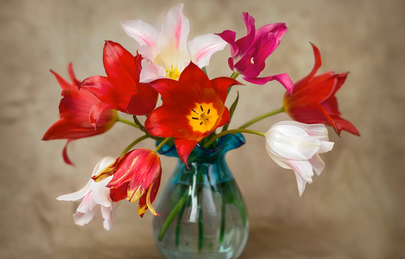 Photo wallpaper bouquet, tulips, vase