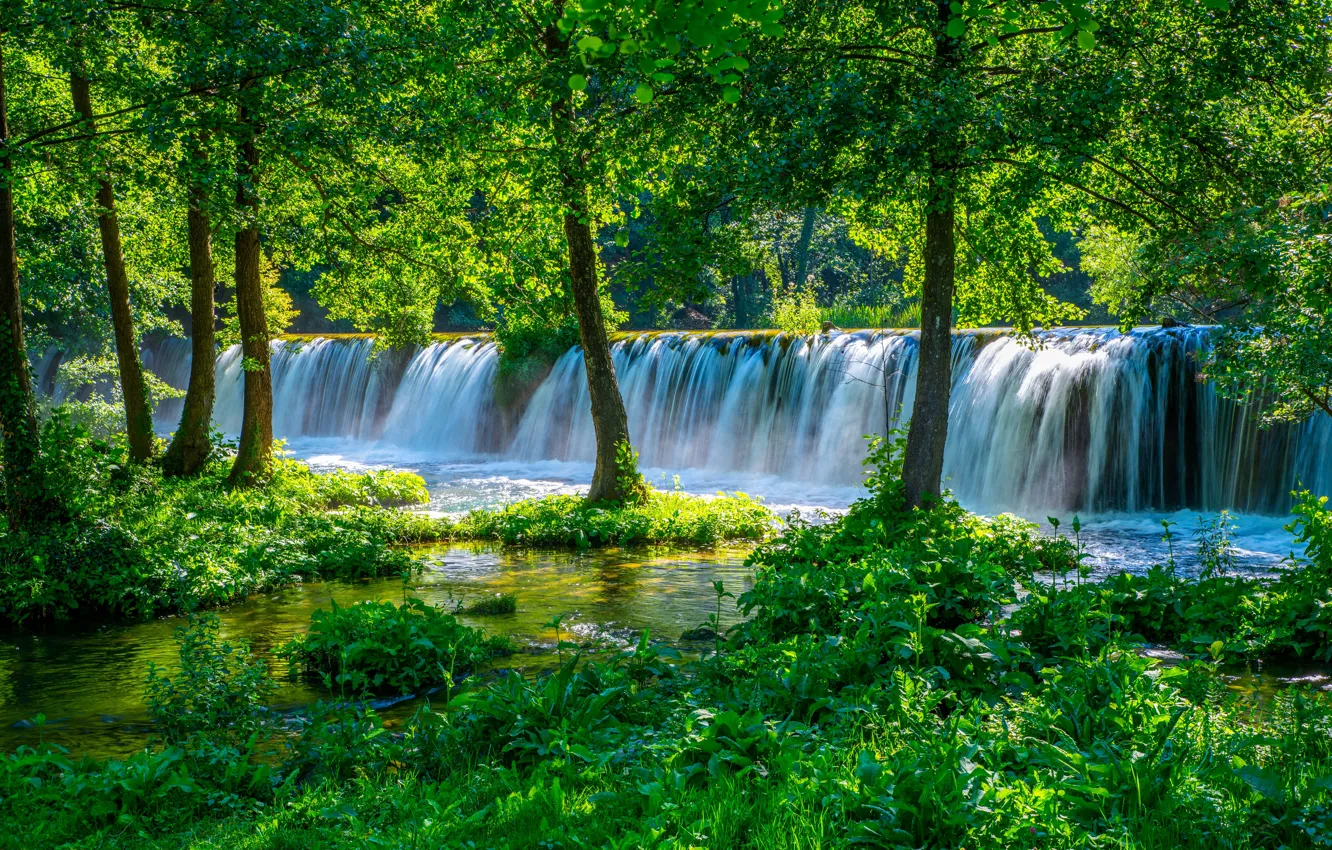 Photo wallpaper greens, forest, waterfall