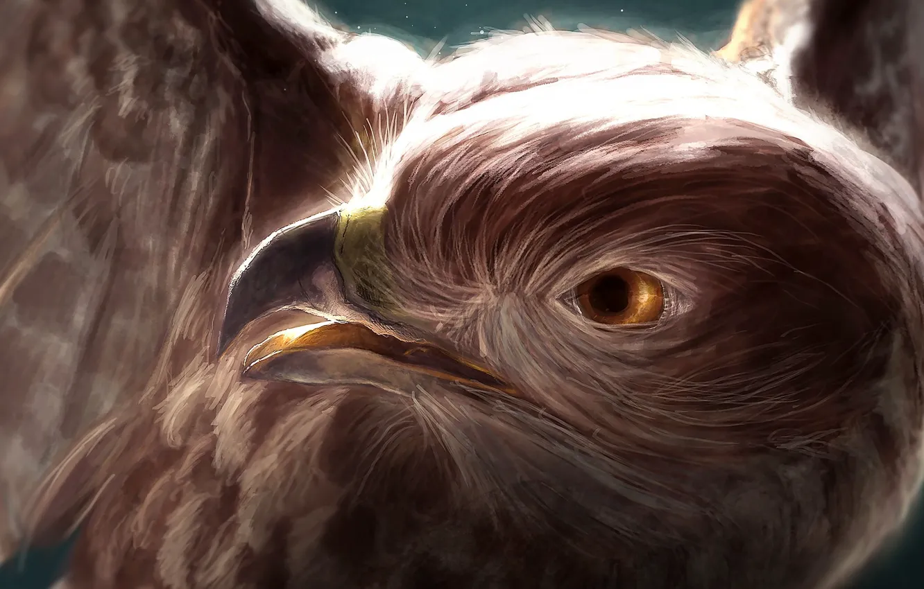 Photo wallpaper bird, predator, art, Eagle, Alice Pisoni