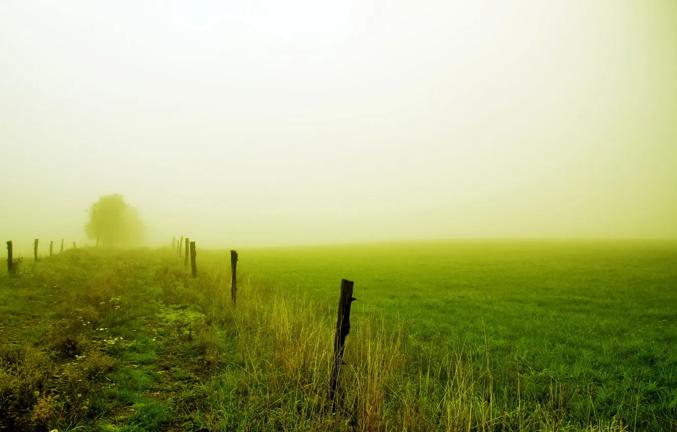 Photo wallpaper field, landscape, nature, fog, the fence