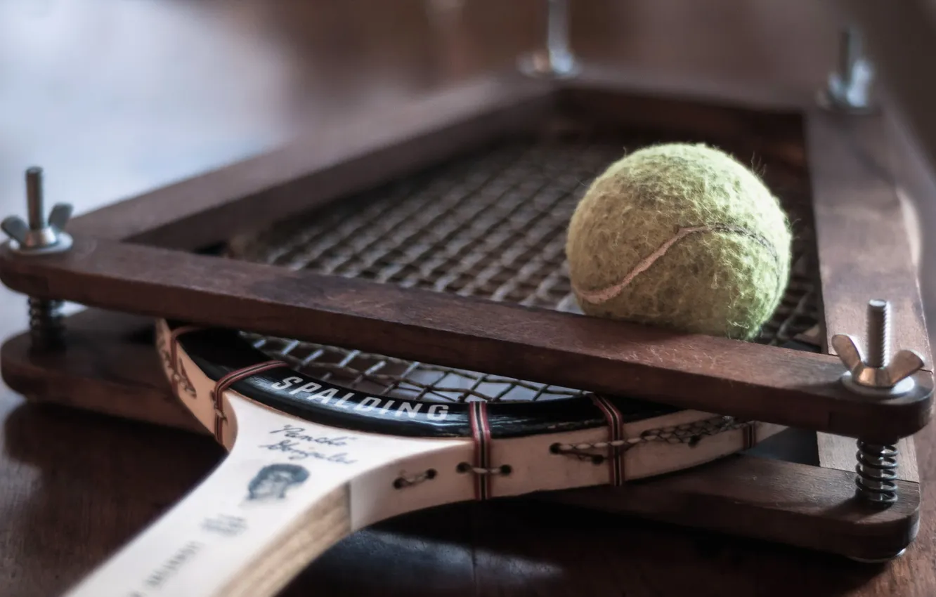 Photo wallpaper sport, the ball, racket