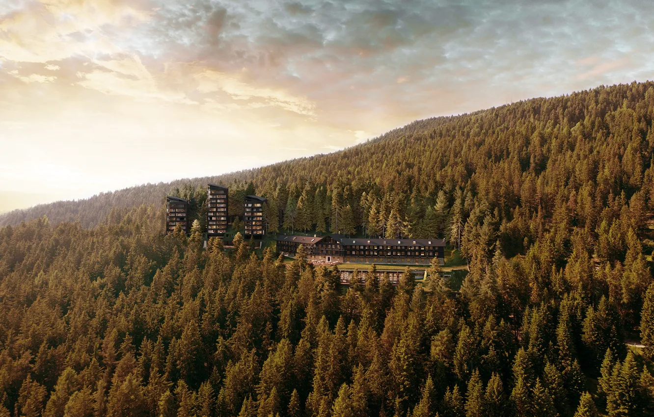 Photo wallpaper forest, mountains, Italy, Dolomites, Forests
