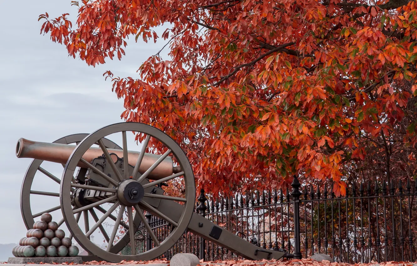 Photo wallpaper gun, Battlefield, Gettysburg