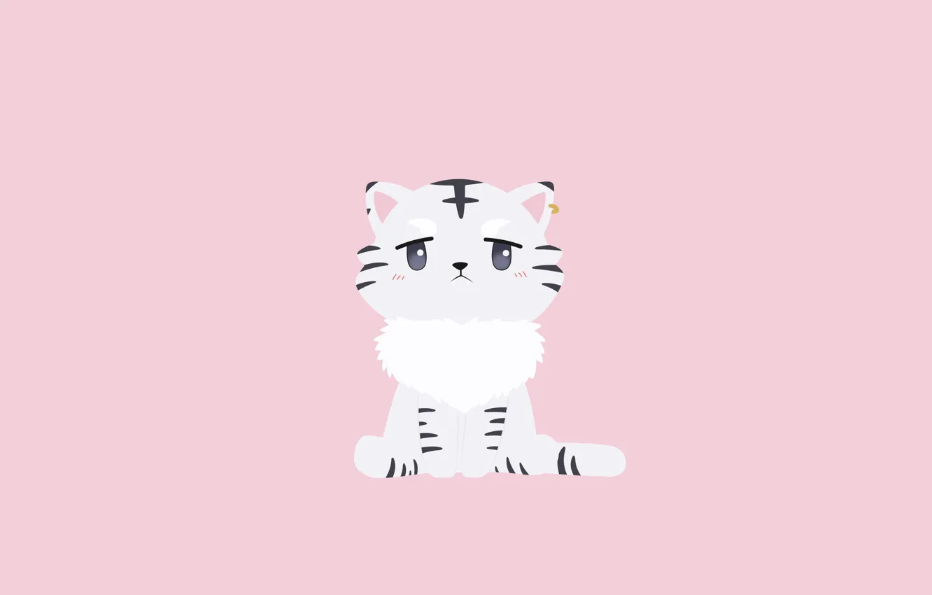 Photo wallpaper cat, cat, minimalism, kitty, Isekai wa Smartphone to Tomo ni