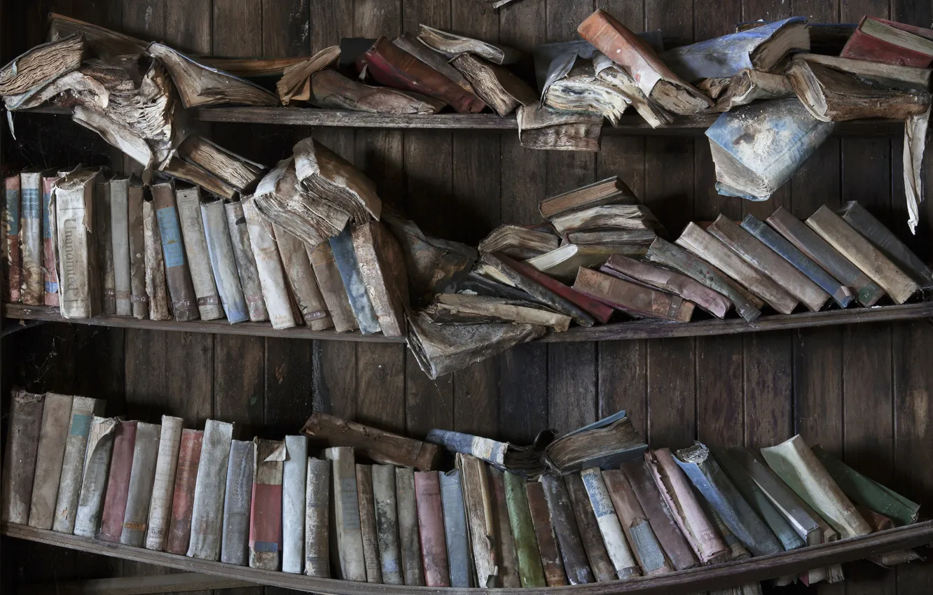 Photo wallpaper background, book, shelves