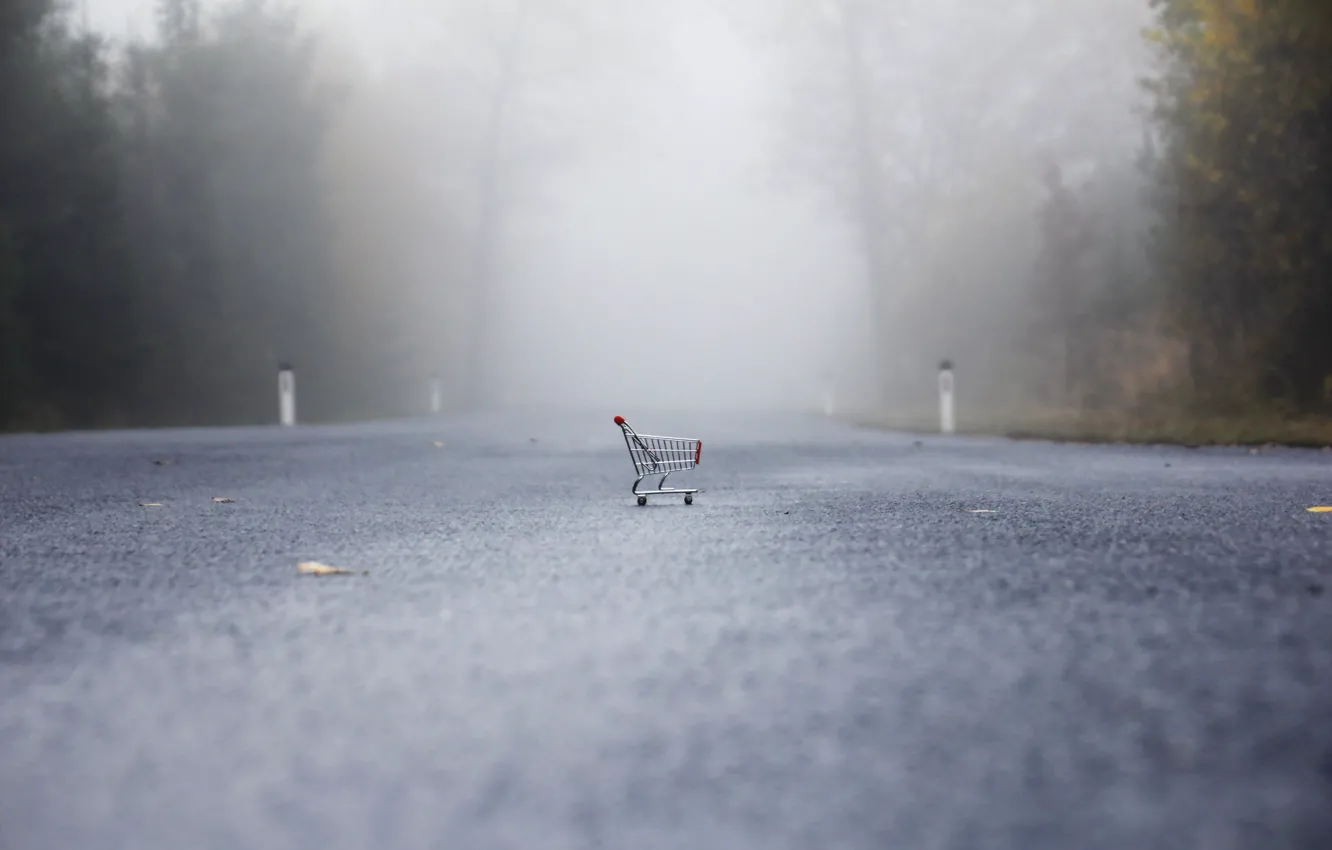 Photo wallpaper road, fog, stroller