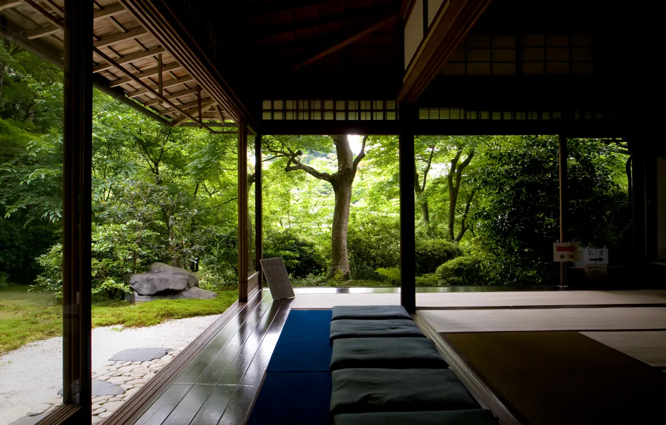 Photo wallpaper forest, trees, search, house, relax, silence, meditation, temple