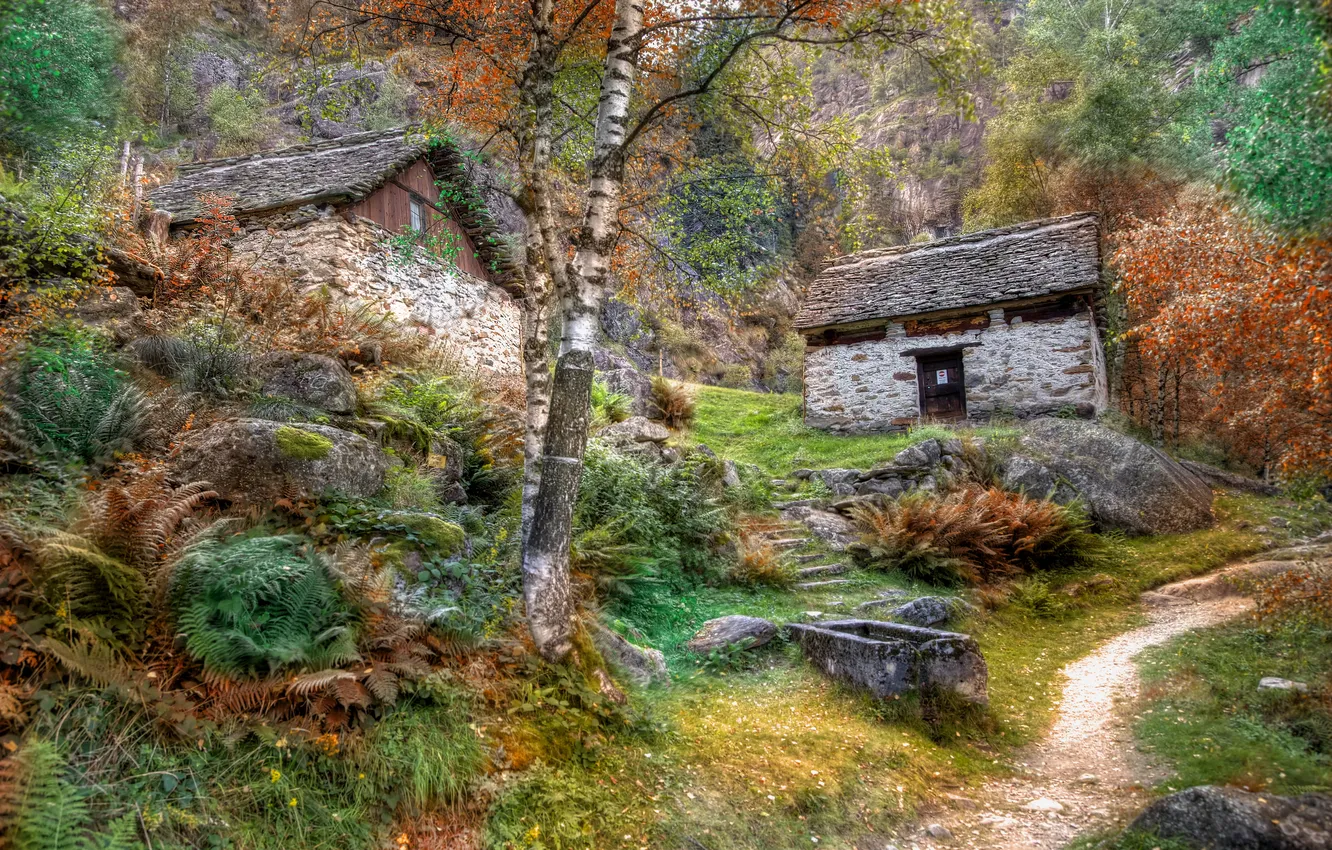 Photo wallpaper road, nature, house