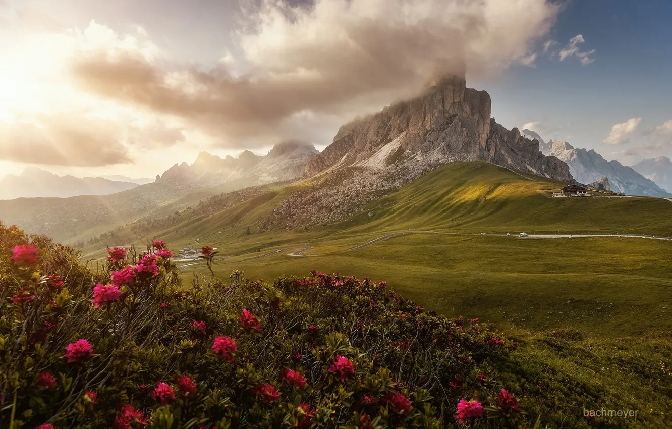 Photo wallpaper the sky, the sun, clouds, flowers, mountains, rocks, valley, Dolomites