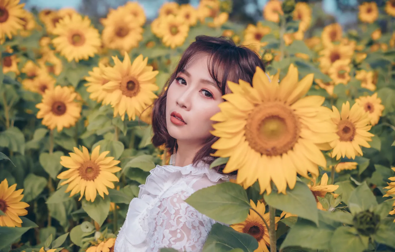 Photo wallpaper field, look, girl, sunflowers, Asian