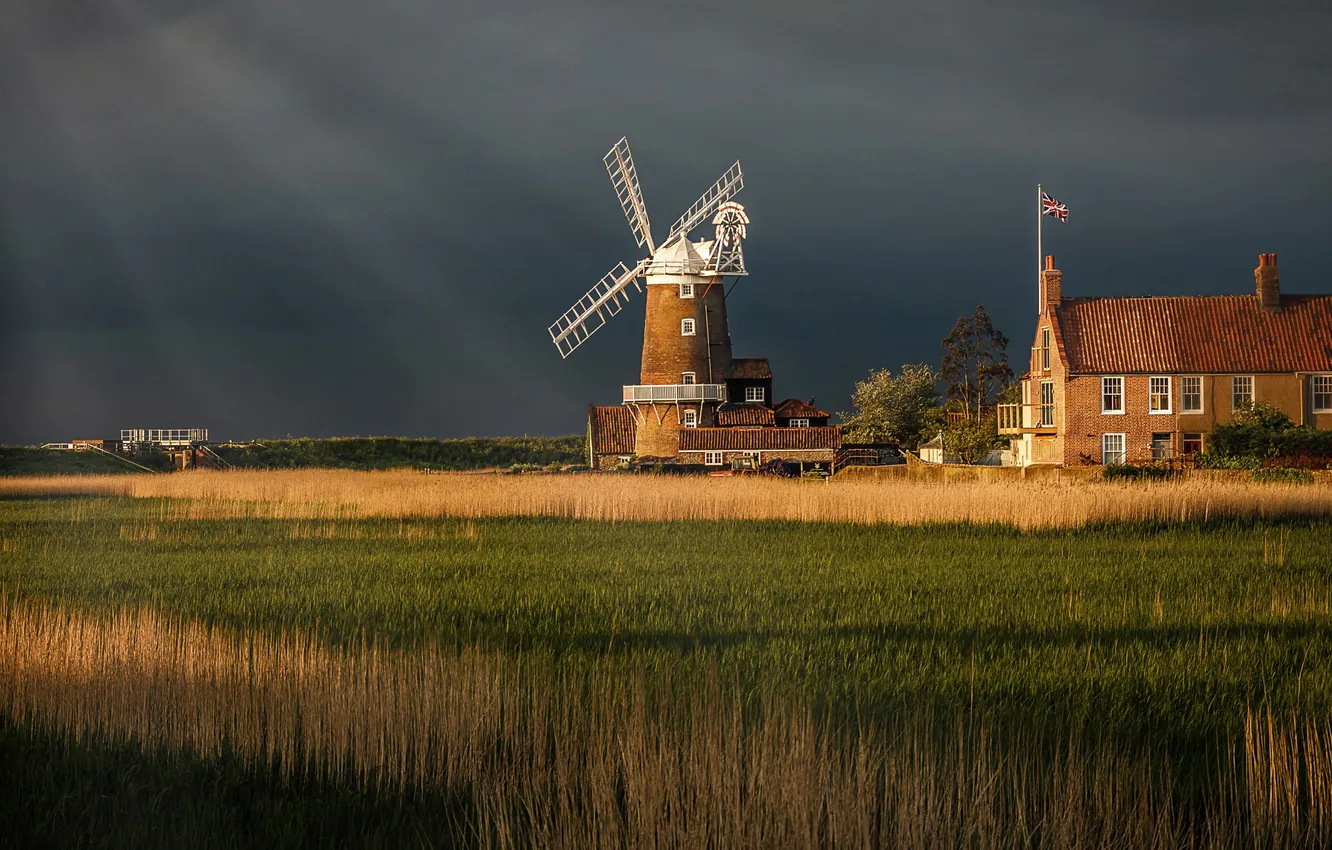 Photo wallpaper field, the sky, landscape, nature, plant, horizon, sky, field