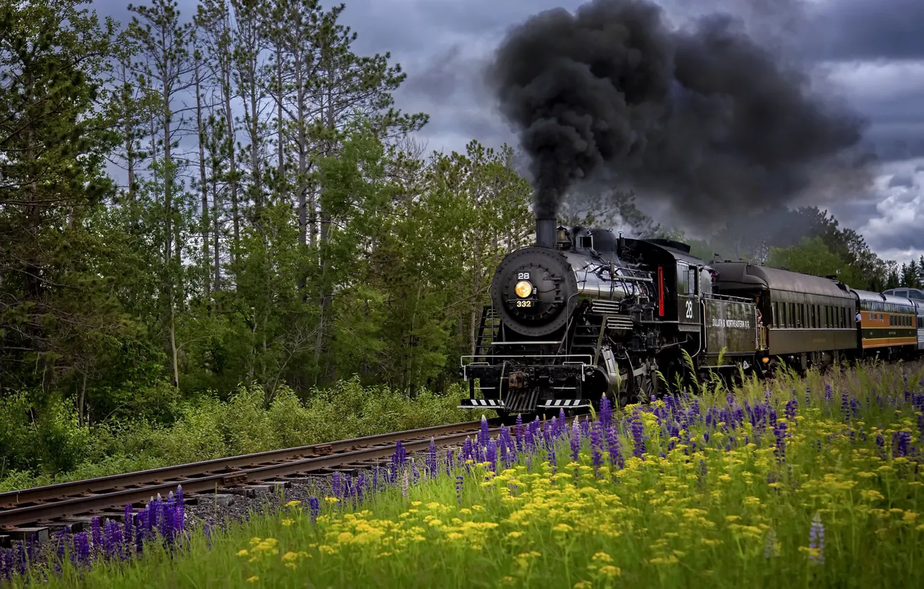 Photo wallpaper summer, nature, the engine