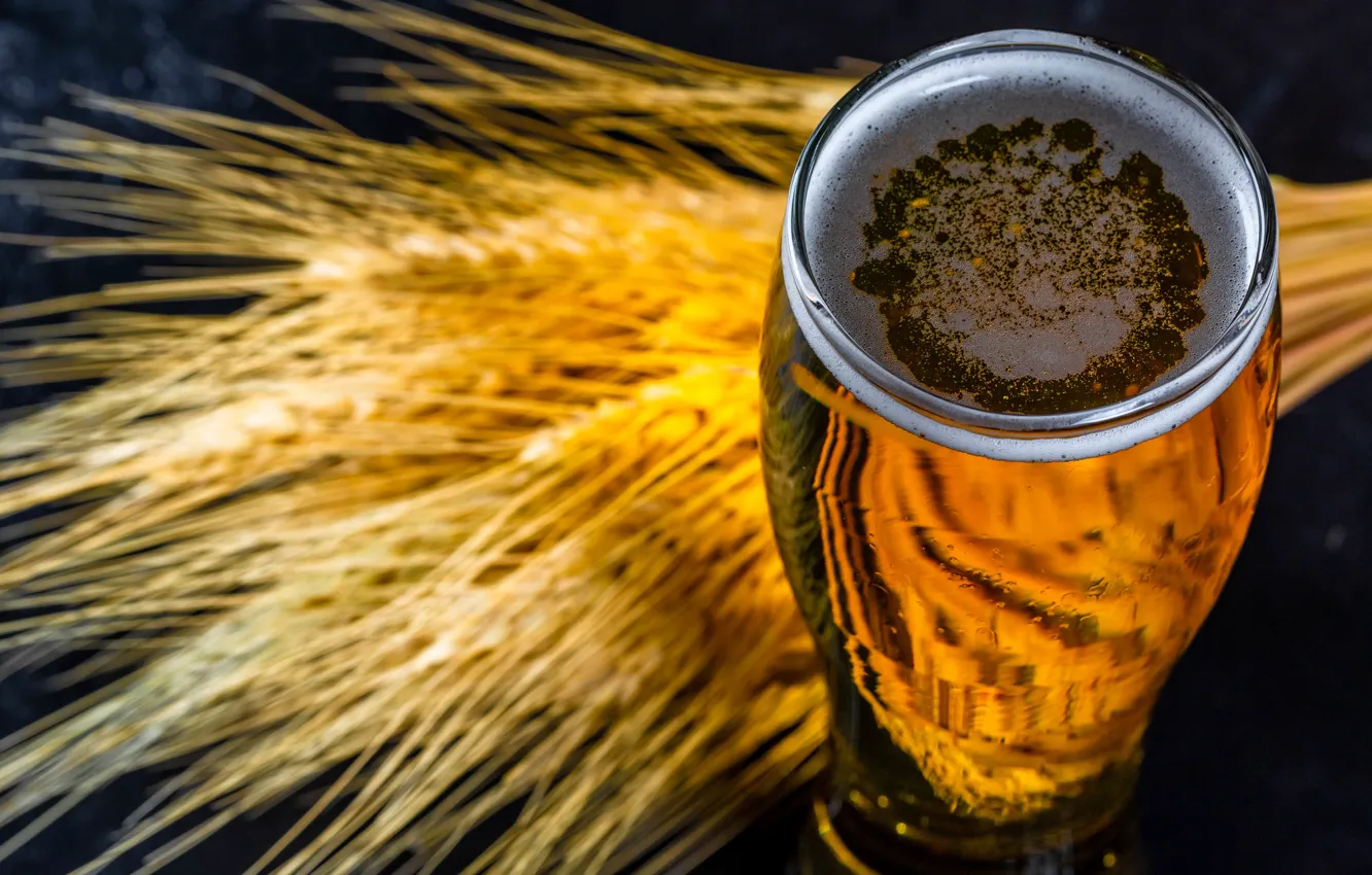 Photo wallpaper beer, drink, barley
