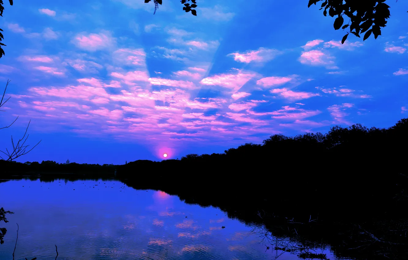 Photo wallpaper trees, water, lake, morning, sun, sunrise, dawn, woods