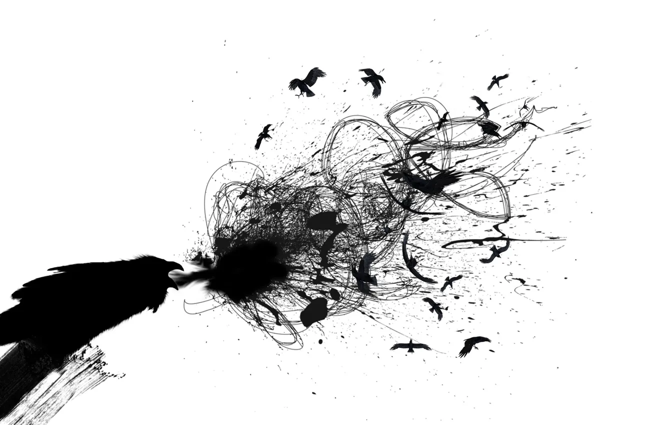 Photo wallpaper abstraction, black and white, minimalism, Raven