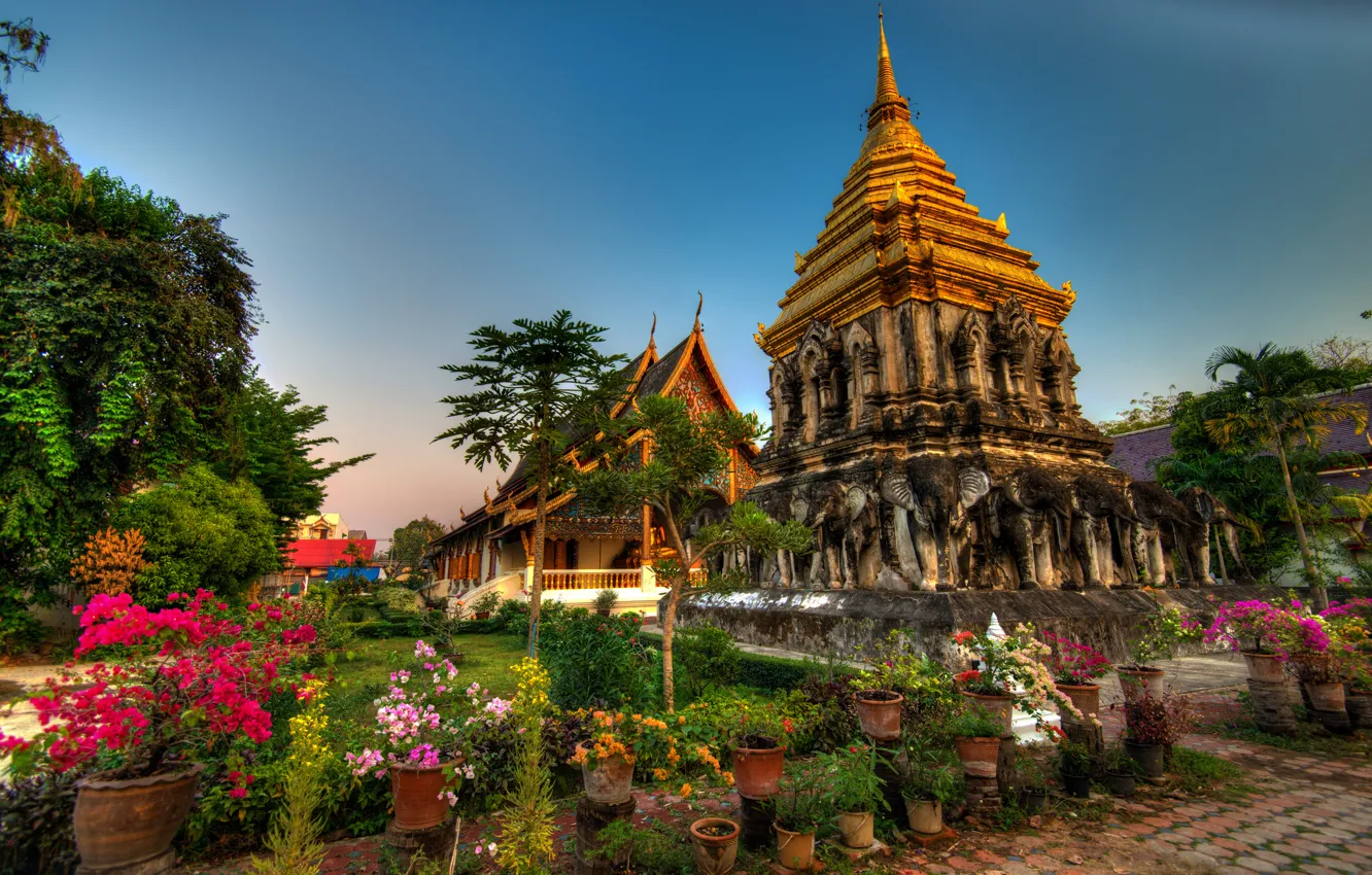Photo wallpaper flowers, Thailand, Thailand, Chiang Mai, Wat Chiang man, Wat Chiang Man, Chiang Mai