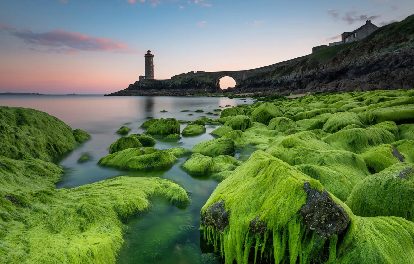 Photo wallpaper sea, sunset, stones, lighthouse, moss
