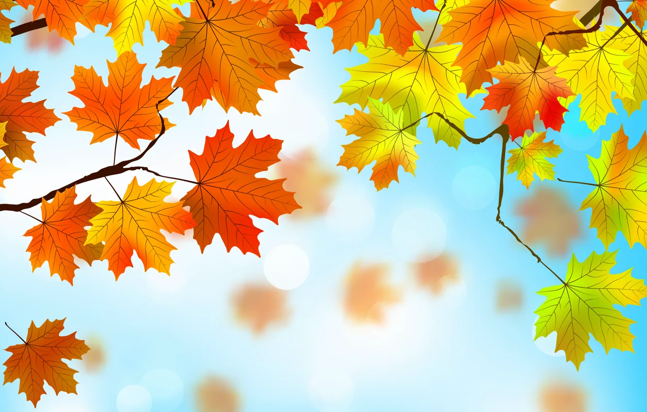Photo wallpaper leaves, background, autumn, leaves, autumn, maple