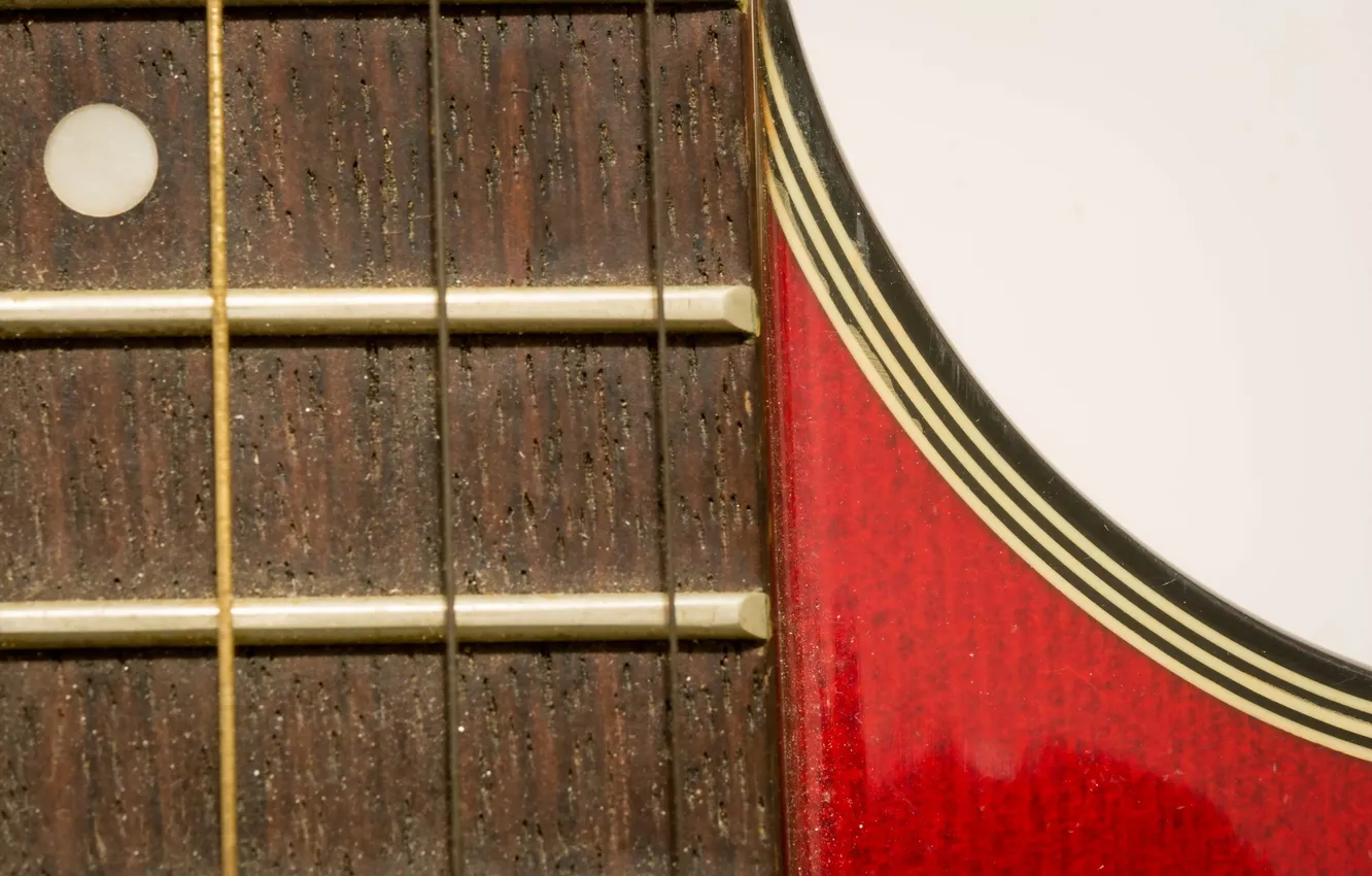 Photo wallpaper macro, background, guitar