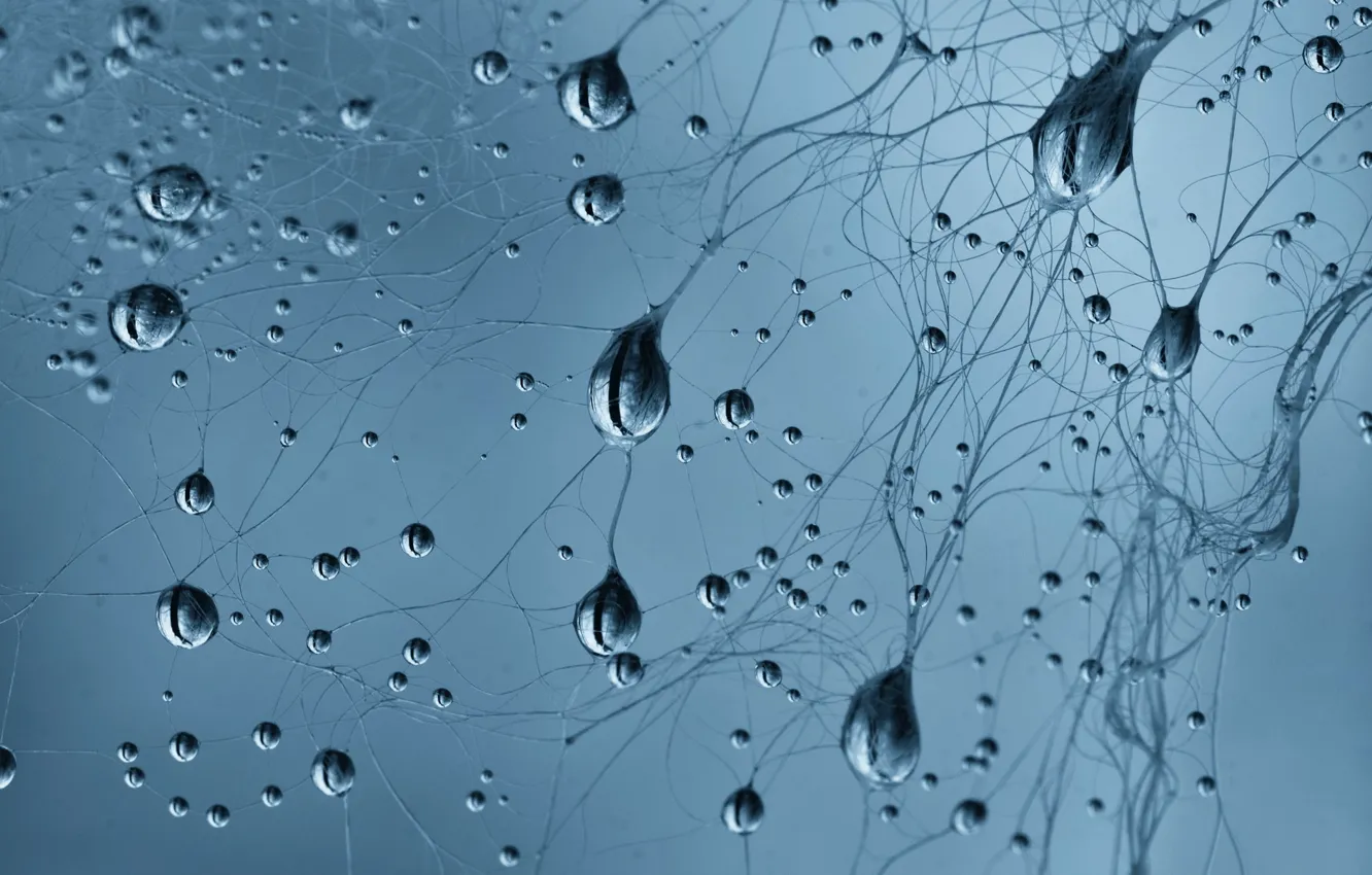 Photo wallpaper abstraction, color, form