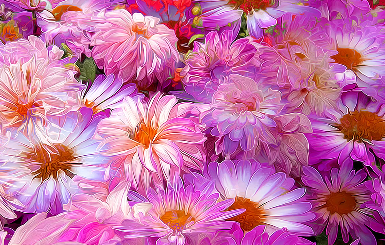 Photo wallpaper flowers, petals, garden, flowerbed