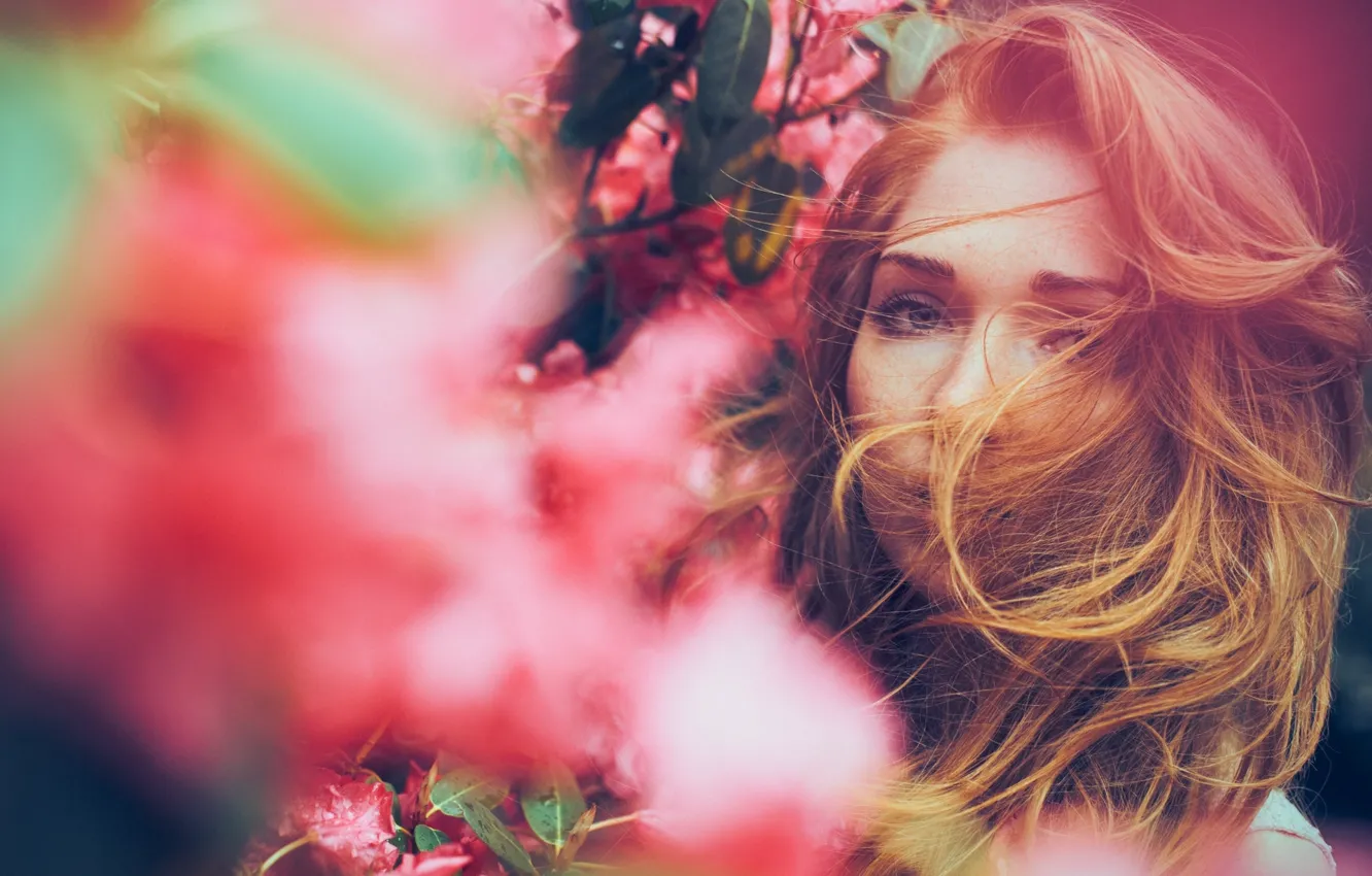 Photo wallpaper girl, flowers, face, pink, romance