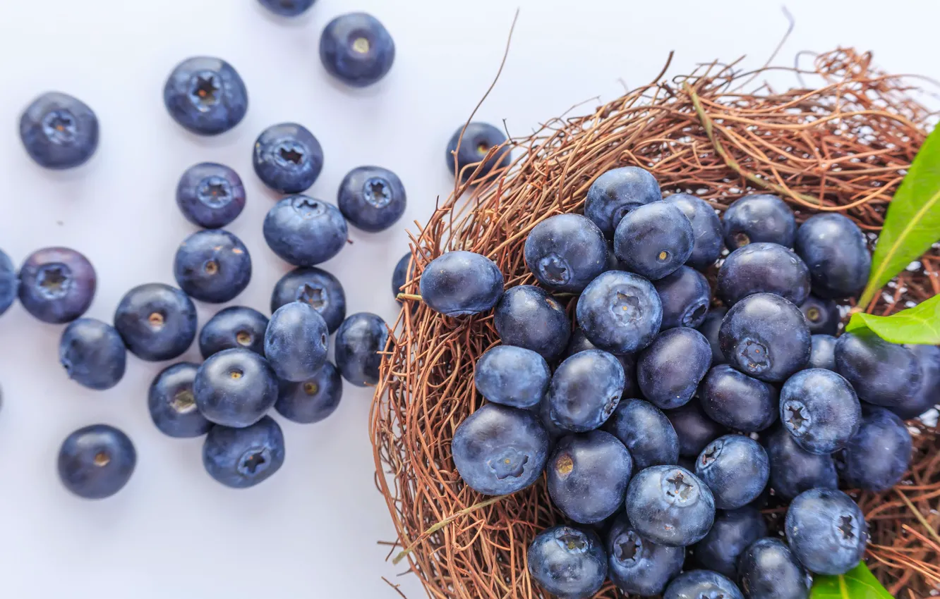 Photo wallpaper berries, blueberries, socket
