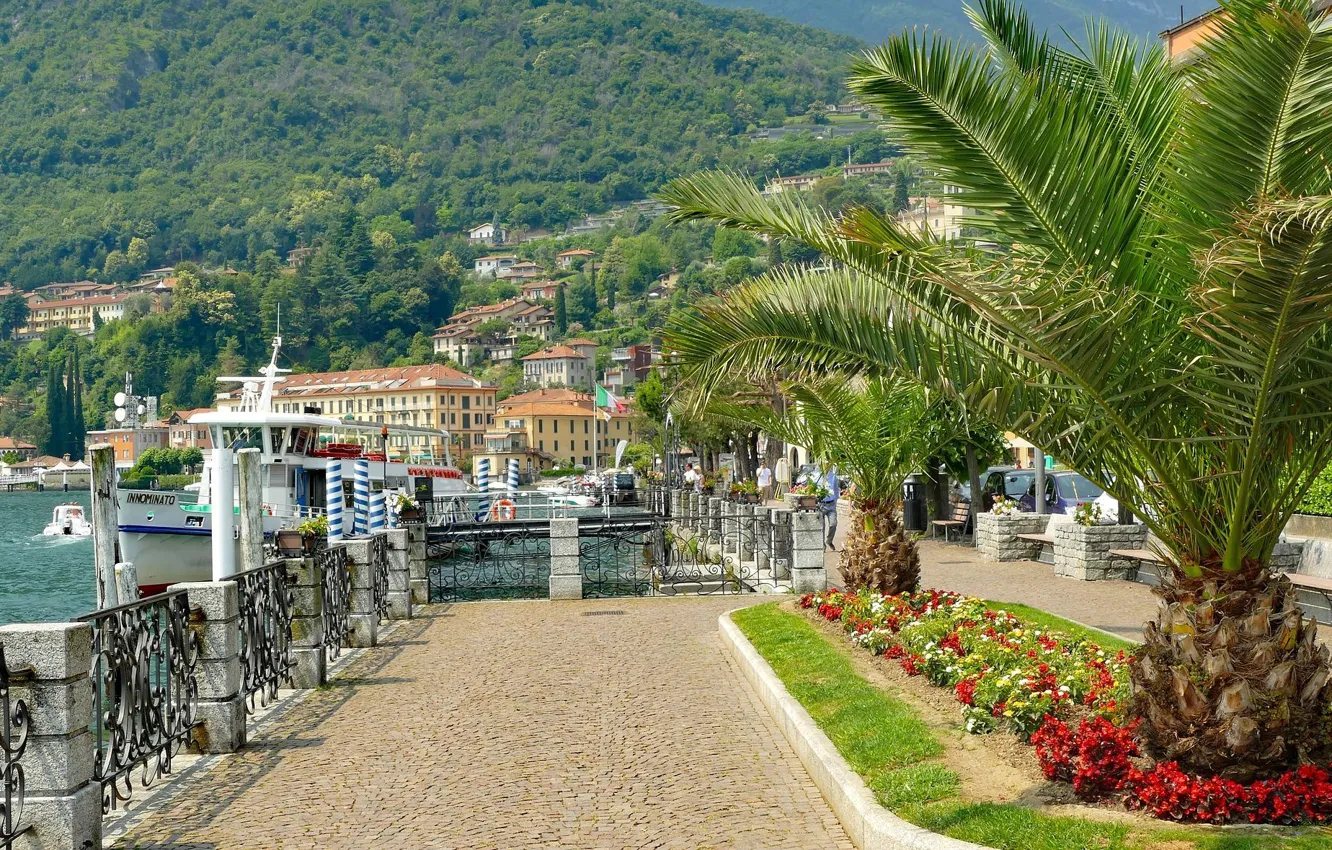 Photo wallpaper palm trees, Menaggio, Italy, Como, promenade