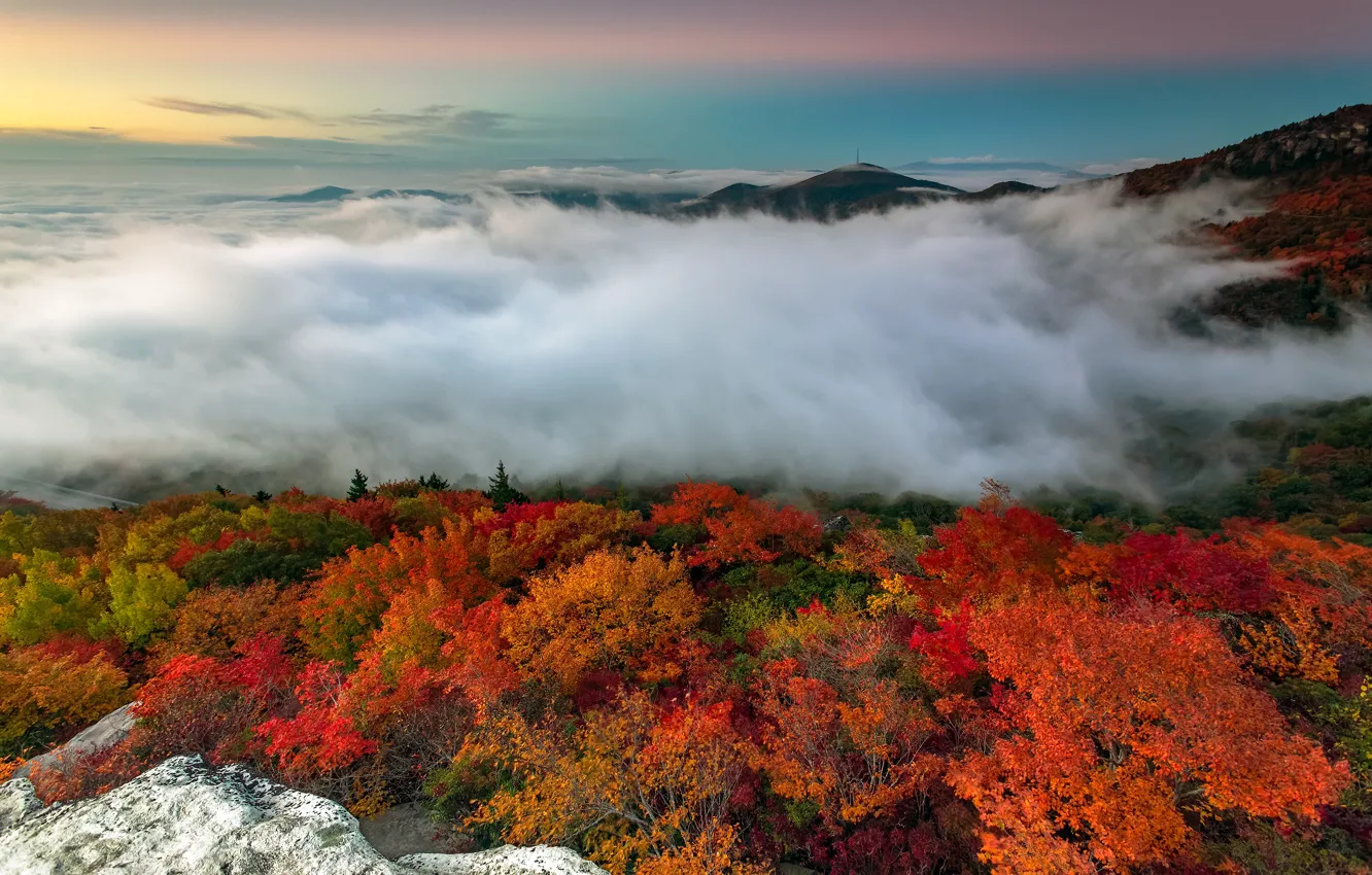 Photo wallpaper autumn, forest, trees, mountains, fog, stones, morning, USA