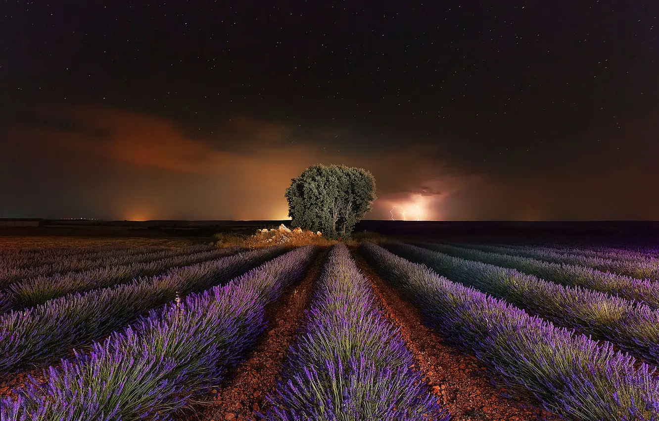 Photo wallpaper the storm, field, the sky, stars, trees, landscape, flowers, night