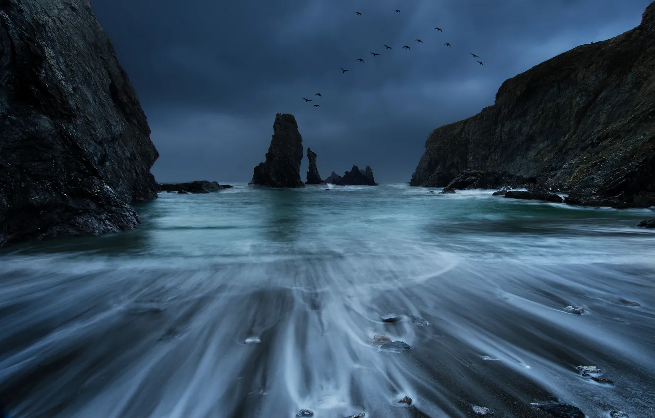 Photo wallpaper sea, the storm, the sky, blue, clouds, stones, rocks, bird