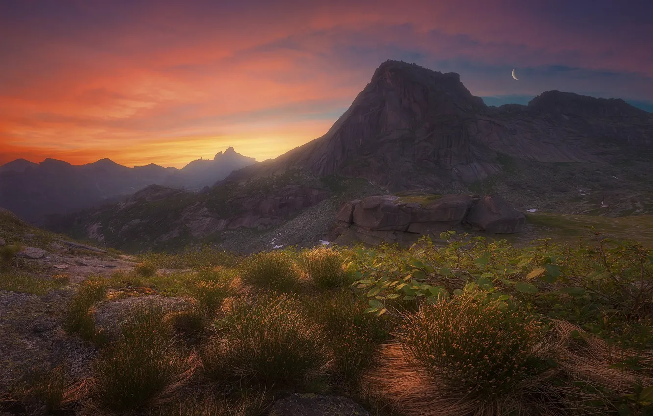 Photo wallpaper mountains, vegetation, twilight