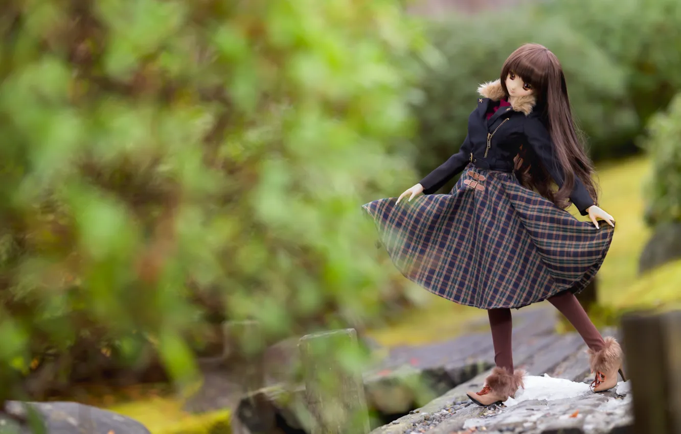 Photo wallpaper toy, skirt, doll