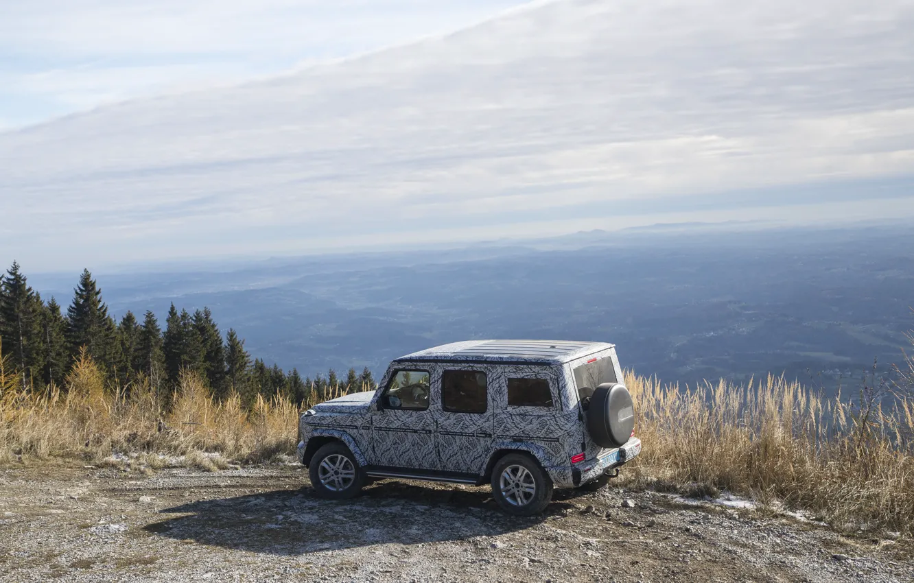 Photo wallpaper the sky, trees, mountains, vegetation, Mercedes-Benz, slope, disguise, film