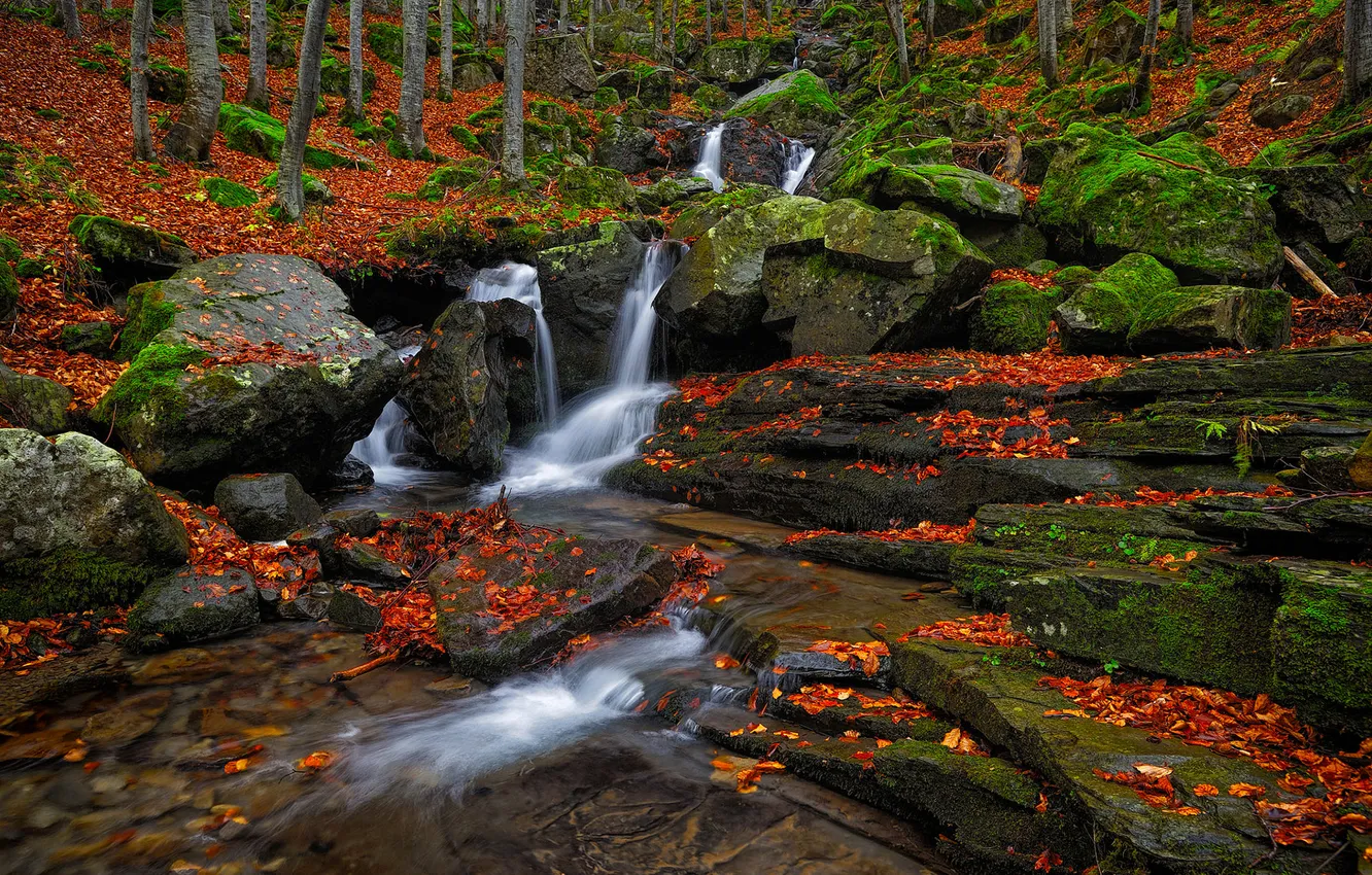 Photo wallpaper autumn, forest, nature, waterfall