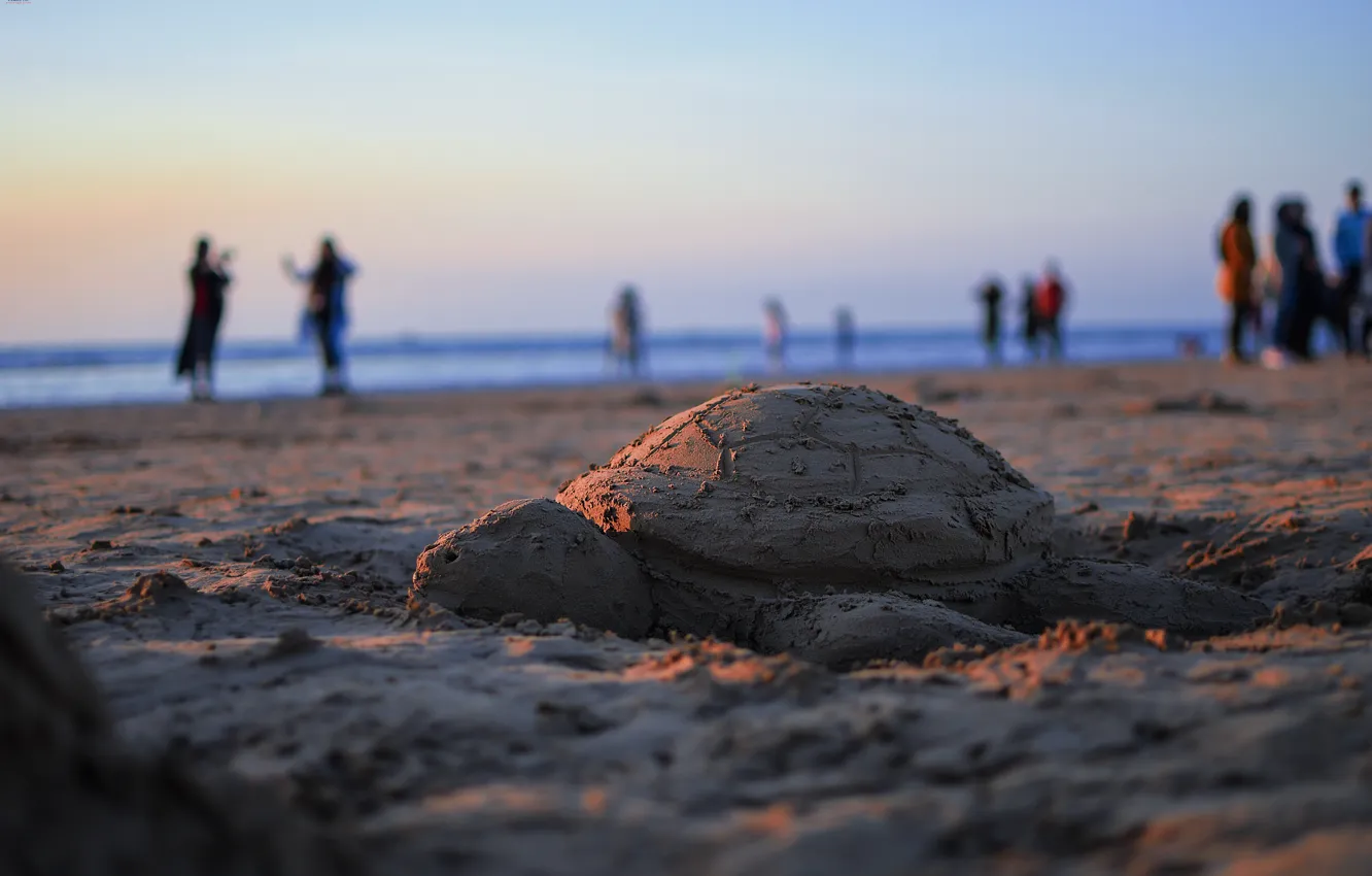 Photo wallpaper sea, seaside, turtle