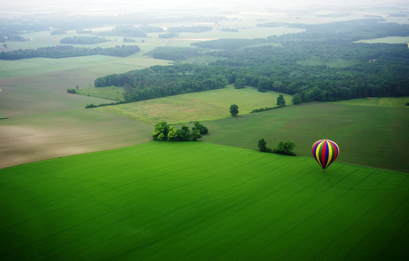 Photo wallpaper field, trees, blue, yellow, red, nature, balloon, colored