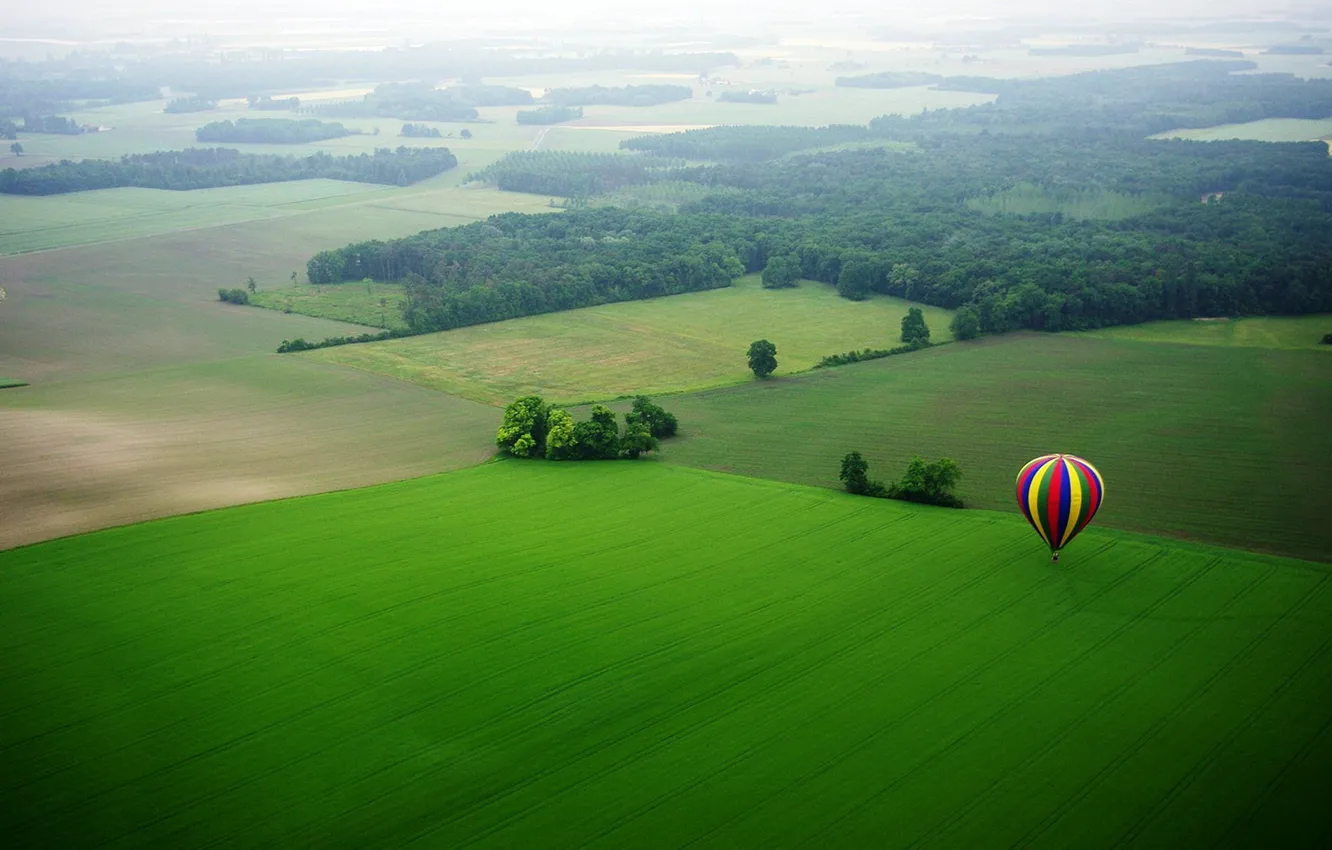 Photo wallpaper field, trees, blue, yellow, red, nature, balloon, meadow