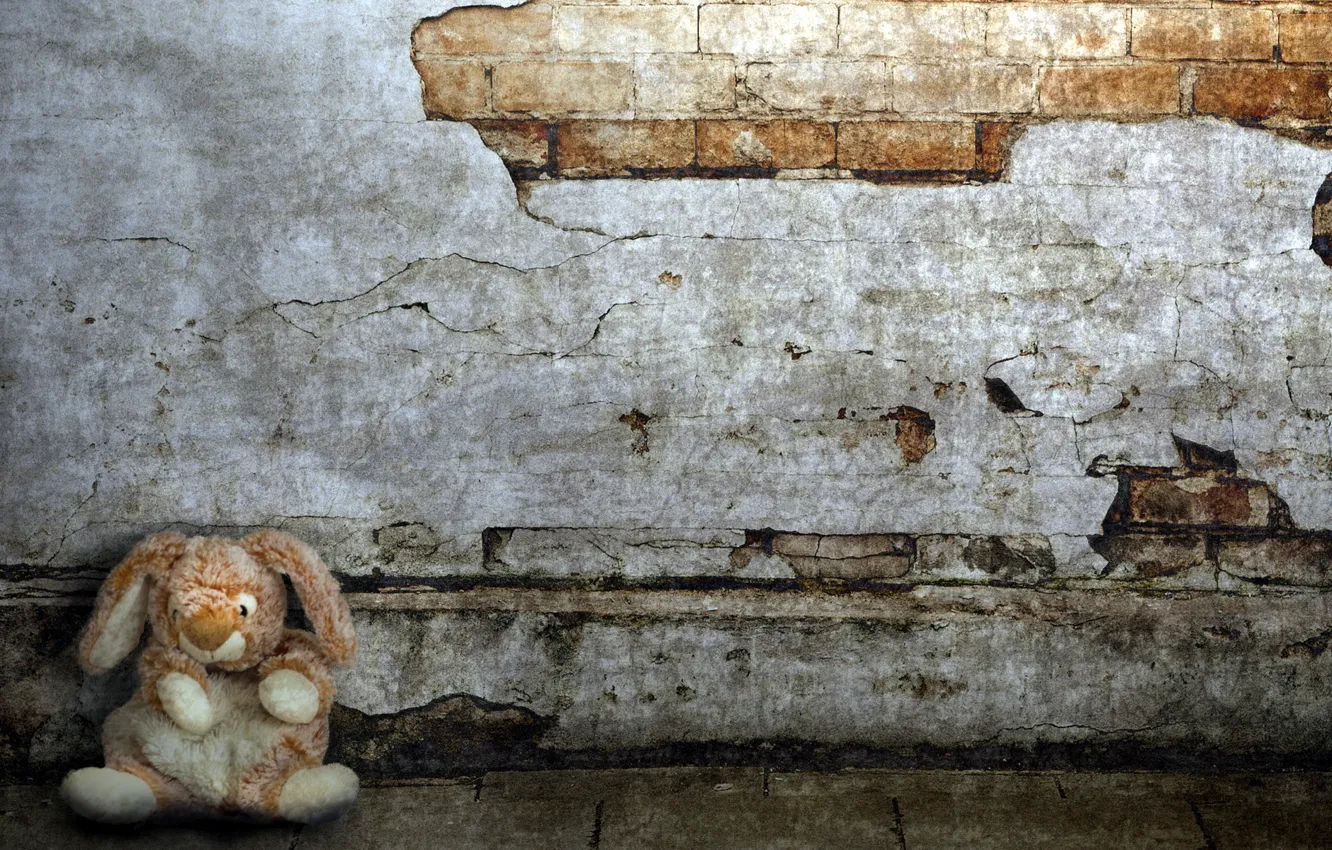 Photo wallpaper wall, toy, hare