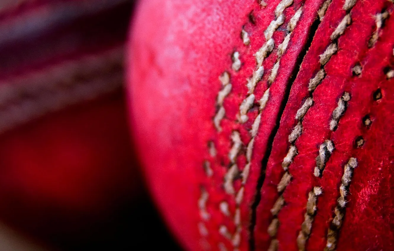 Photo wallpaper macro, paint, the game, the ball, cricket