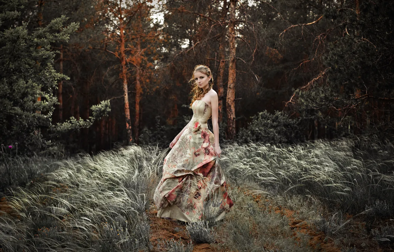 Photo wallpaper forest, grass, look, girl, trees, nature, the wind, dress