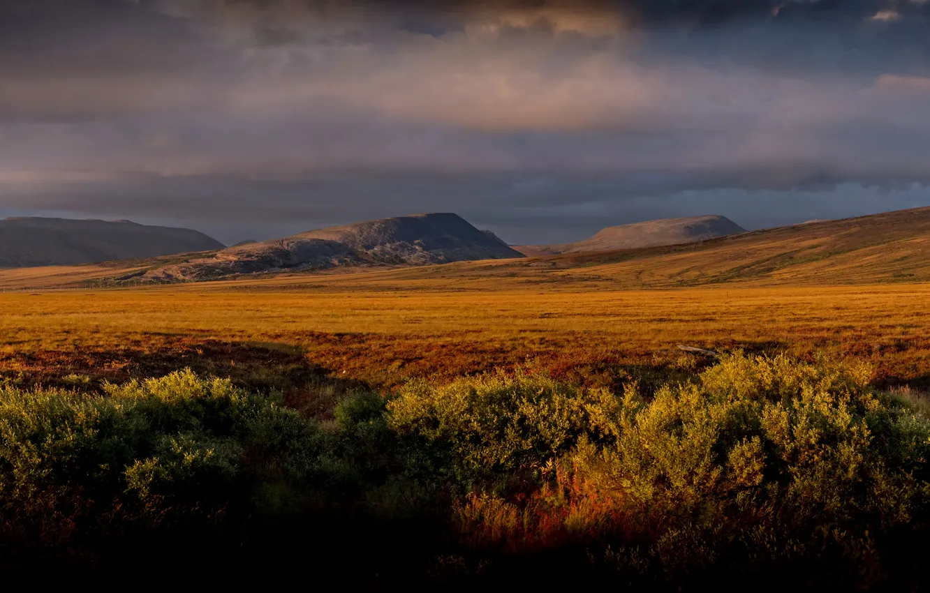 Photo wallpaper sunset, tundra, Chukotka, Nadezhda Demkina, Anadyr